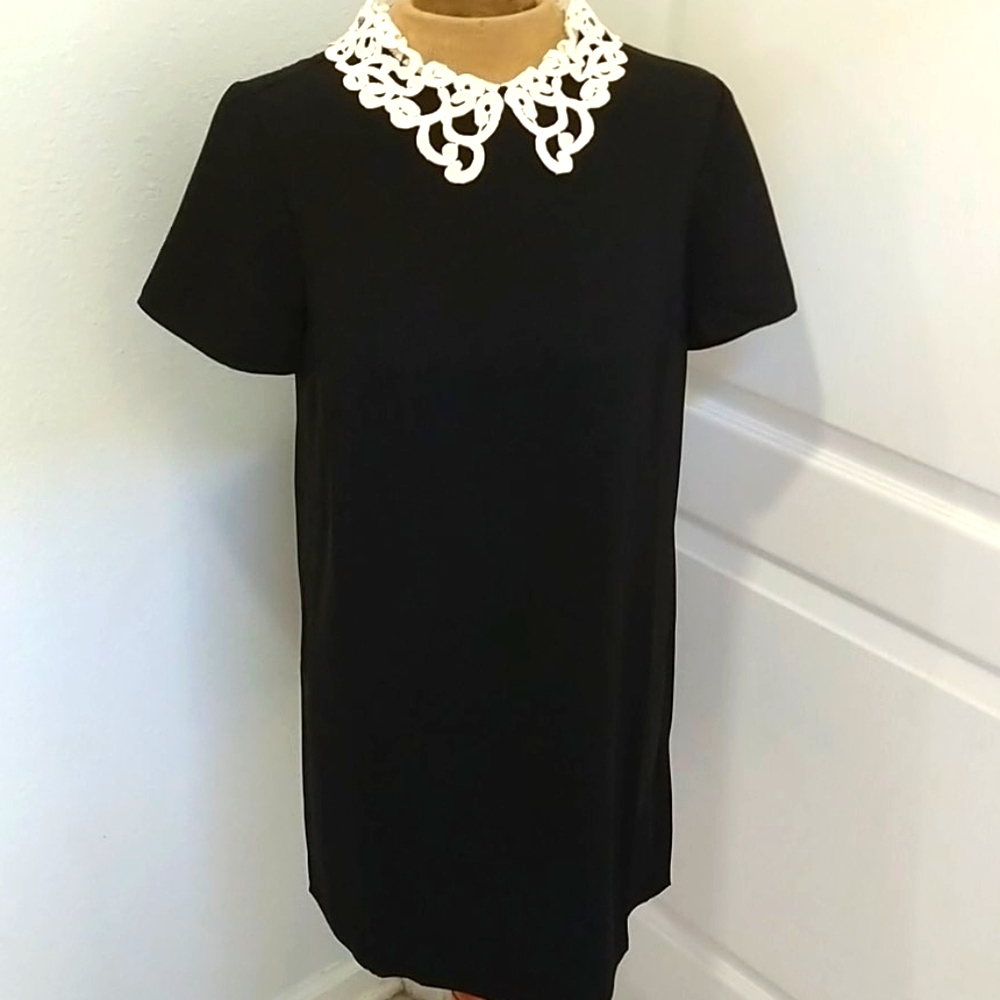 Forever 21 Black Dress with White Lace Collar